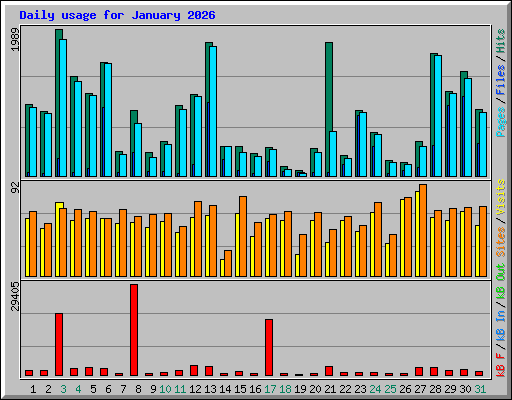Daily usage for January 2026
