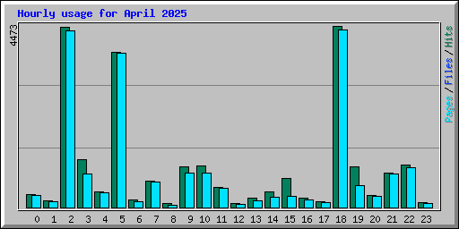 Hourly usage for April 2025