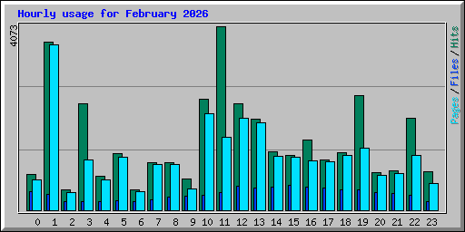 Hourly usage for February 2026