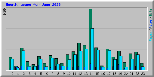 Hourly usage for June 2026